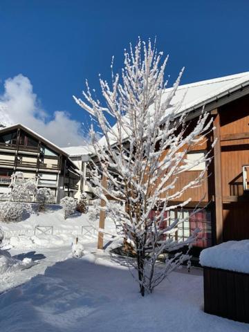 Les Combettes Apartment Les Contamines-Montjoie Exterior foto